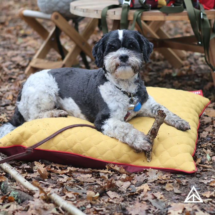 Wool Camp Cushions