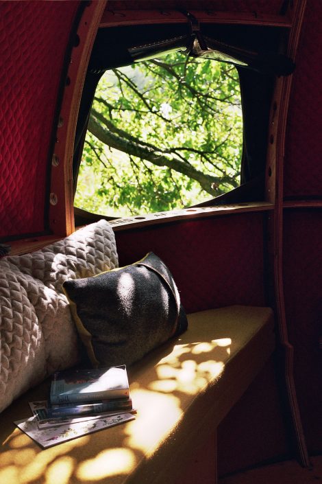 Looking out the window of the Tree Tent with sun shining on seat and cushions